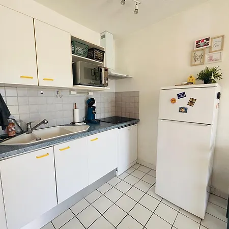Apartment T2 A Argeles, Terrasse, Parking - Fr-1-309-551 *